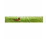 Auroshikha Basilic Incense